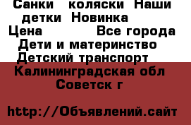 Санки - коляски “Наши детки“ Новинка 2017 › Цена ­ 4 090 - Все города Дети и материнство » Детский транспорт   . Калининградская обл.,Советск г.